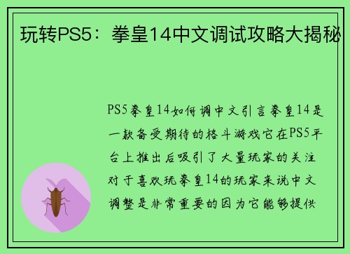 玩转PS5：拳皇14中文调试攻略大揭秘